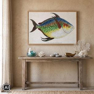 Vintage Tropical Opah Fish, Marine Aquatic Animal Poster
