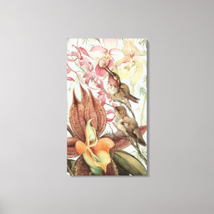 Vintage Tropical Orchids, Flowers and Hummingbirds Canvas Print
