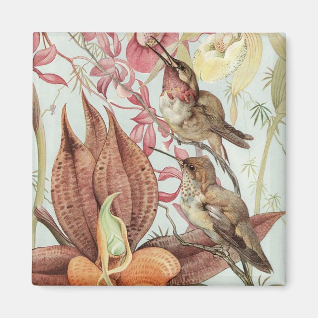 Vintage Tropical Orchids, Flowers and Hummingbirds Magnet (Front)
