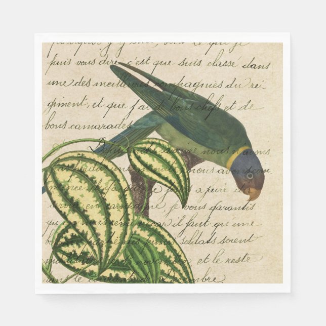 Vintage Tropical Parrot Napkin (Front)