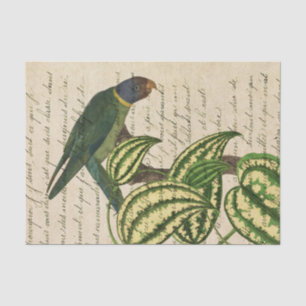 Vintage Tropical Parrot Tissue Paper