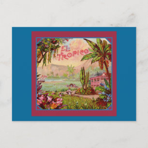 Vintage Tropical Plantation Postcard
