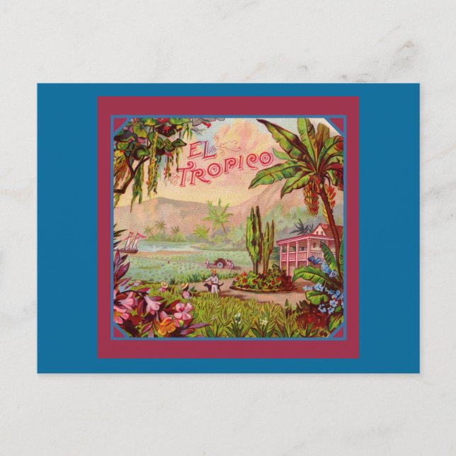 Vintage Tropical Plantation Postcard (Front)