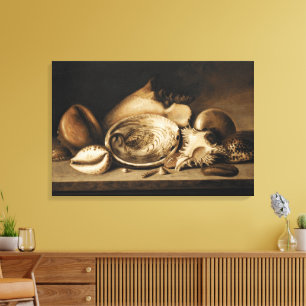 Vintage Tropical Sea Shells On A Stone Ledge Canvas Print