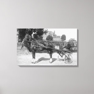 Vintage trotter and sulky canvas print