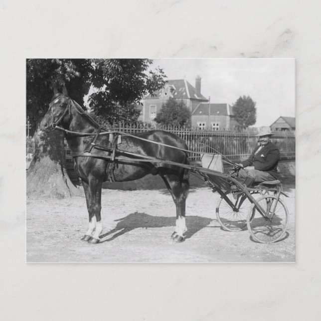 Vintage trotter and sulky postcard (Front)