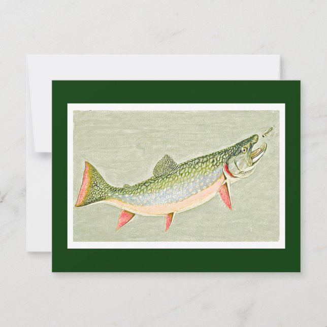 Vintage Trout fly fishing art Invitation (Front)