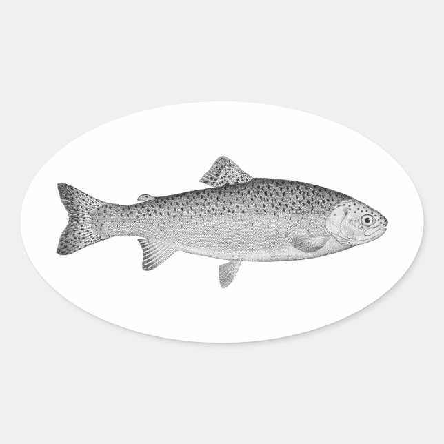 Vintage Trout Oval Sticker (Front)