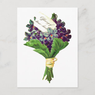 Vintage True Love Violets Postcard
