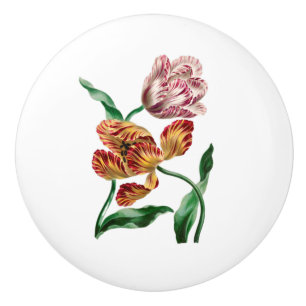 Vintage Tulip Botanical Illustration Ceramic Knob