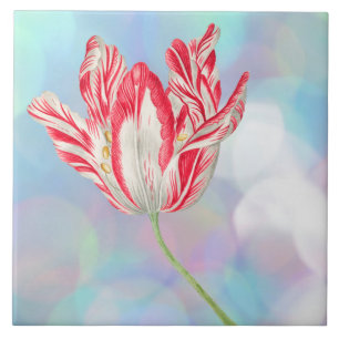 Vintage Tulip Ceramic Tile