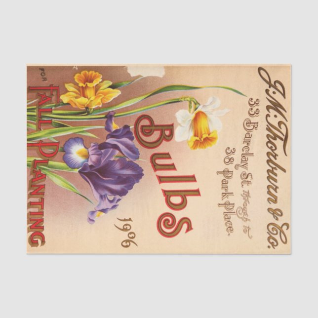 Vintage Tulip Flowers Seed Pack Tissue Paper (Front)