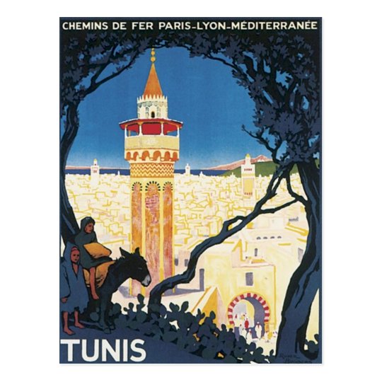 Vintage Tunis Africa Postcard