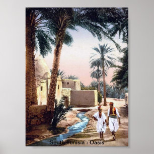 Vintage Tunisia : An Oasis Poster