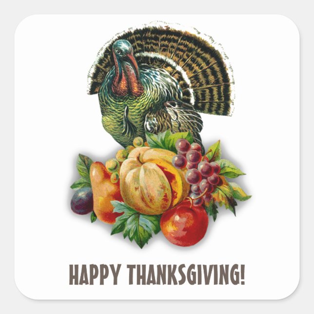 Vintage Turkey & Pumpkin Thanksgiving  Square Sticker (Front)