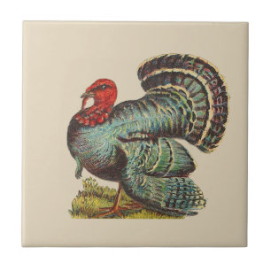 Vintage Turkey Tile