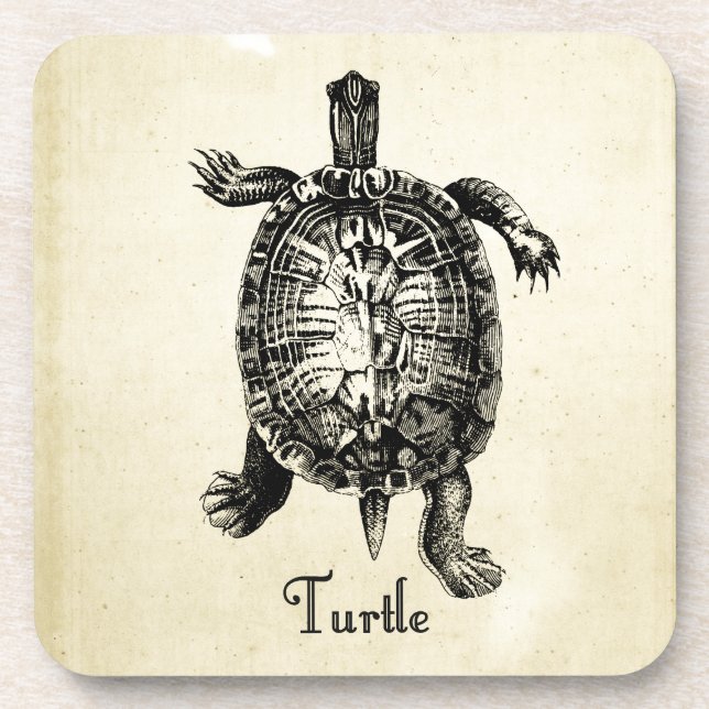 VINTAGE TURTLE COASTER (Front)