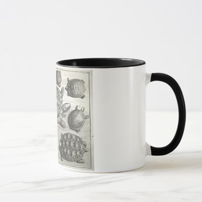 Vintage Turtle Etching Mug (Right)