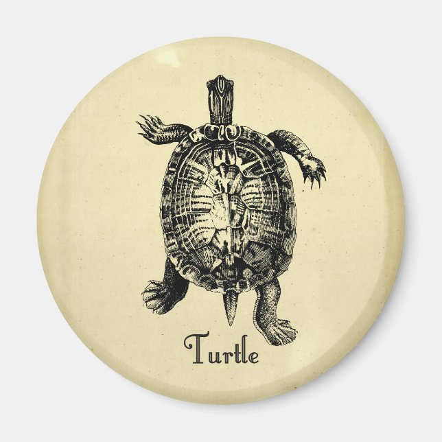 VINTAGE TURTLE MAGNET (Front)