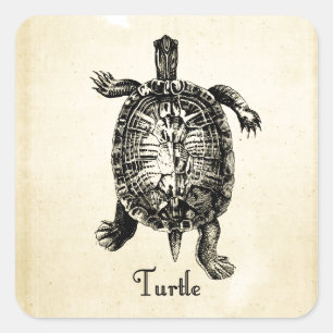 VINTAGE TURTLE SQUARE STICKER