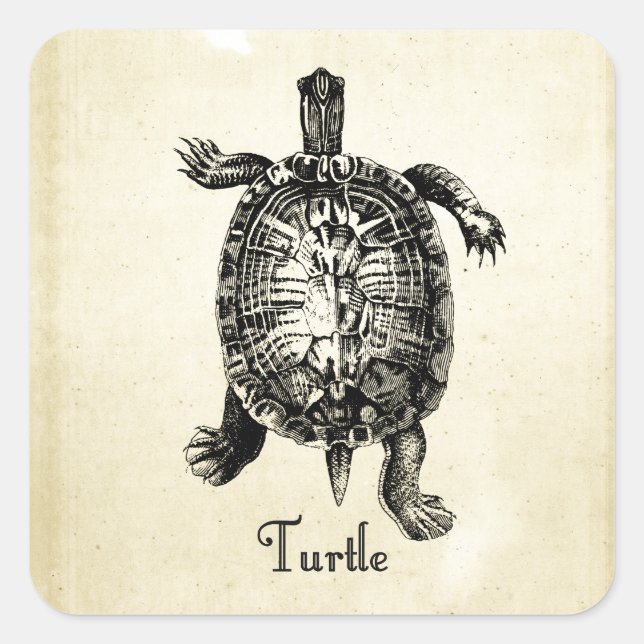 VINTAGE TURTLE SQUARE STICKER (Front)