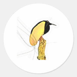 Vintage Twelve-Wired Bird of Paradise Sticker, Exo Classic Round Sticker