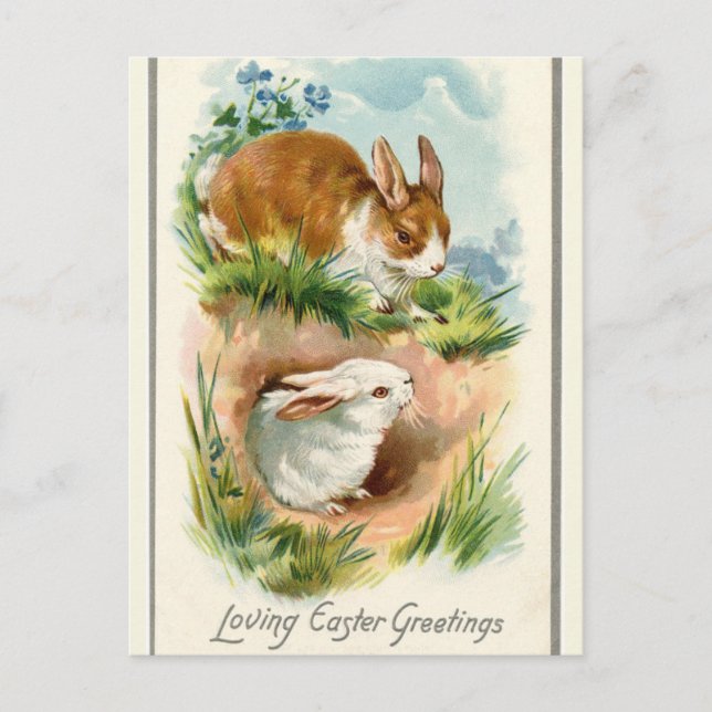 Vintage Two Bunnies Loving Easter Greetings Postcard (Front)