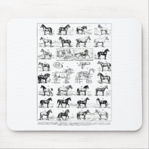 Vintage Types Of Horses Horse Breed Horseback Ridi Mouse Pad