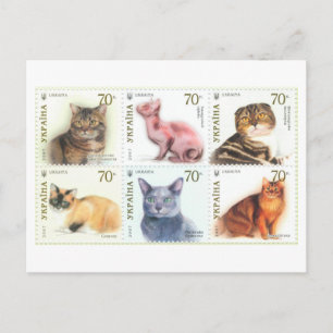 Vintage Ukraine Cat Postage Stamp Set Postcard