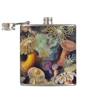 Vintage Underwater Sea Anemones by Ernst Haeckel Hip Flask