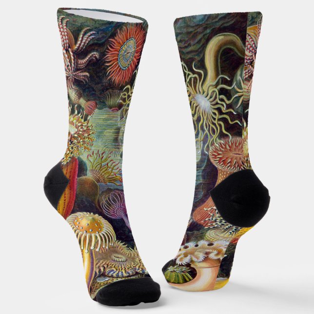 Vintage Underwater Sea Anemones by Ernst Haeckel Socks (Angled)
