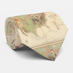 Vintage United States Geological Map (1856) Tie