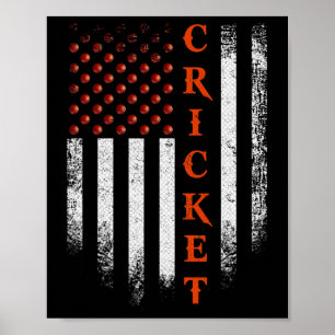 Vintage Us American Flag Cricket Player Patriotic  Poster