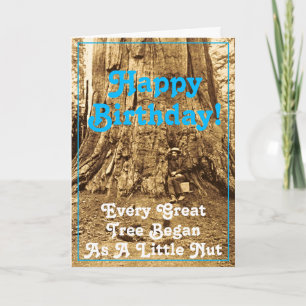 Vintage US Grant Big Redwood Tree Yosemite Funny Card