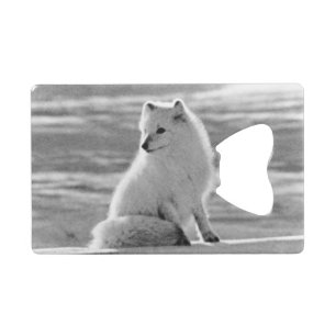 Vintage USA Alaska Arctic fox Credit Card Bottle Opener