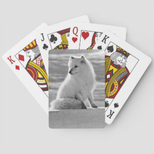Vintage USA Alaska Arctic fox Playing Cards