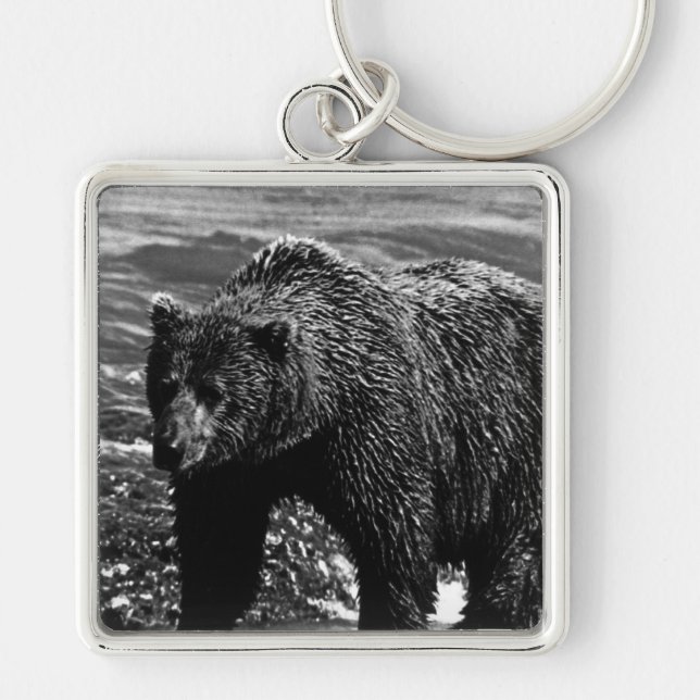 Vintage USA Alaska brown bear 1970 Keychain (Front)