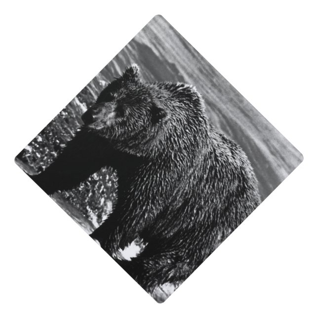 Vintage USA Alaska brown bear Graduation Cap Topper (Front)
