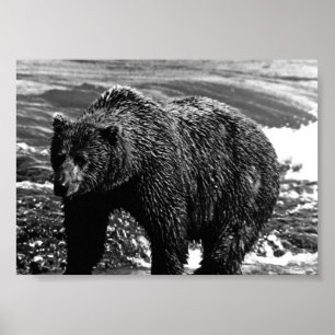 Vintage USA Alaska Brown bear Poster