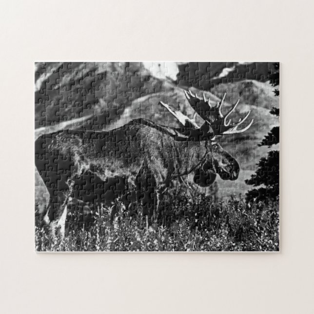 Vintage USA Alaska bull moose 1970 Jigsaw Puzzle (Horizontal)
