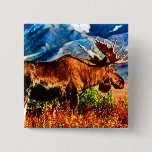Vintage USA Alaska bull moose 2 Inch Square Button