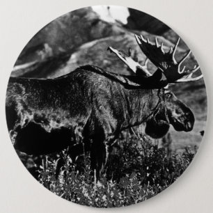 Vintage USA Alaska bull moose 6 Inch Round Button