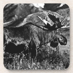 Vintage USA Alaska bull moose Coaster