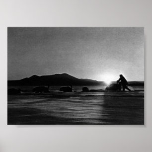 Vintage USA Alaska Midnight sun mushing Poster