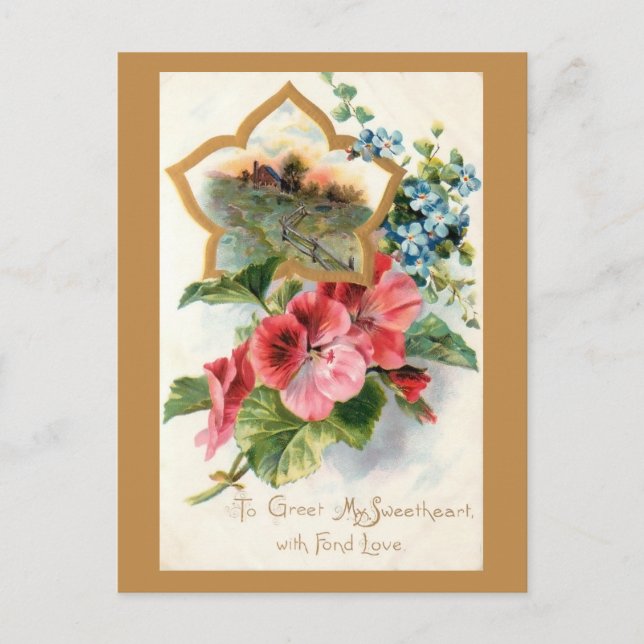 Vintage Valentine with Geraniums Holiday Postcard (Front)