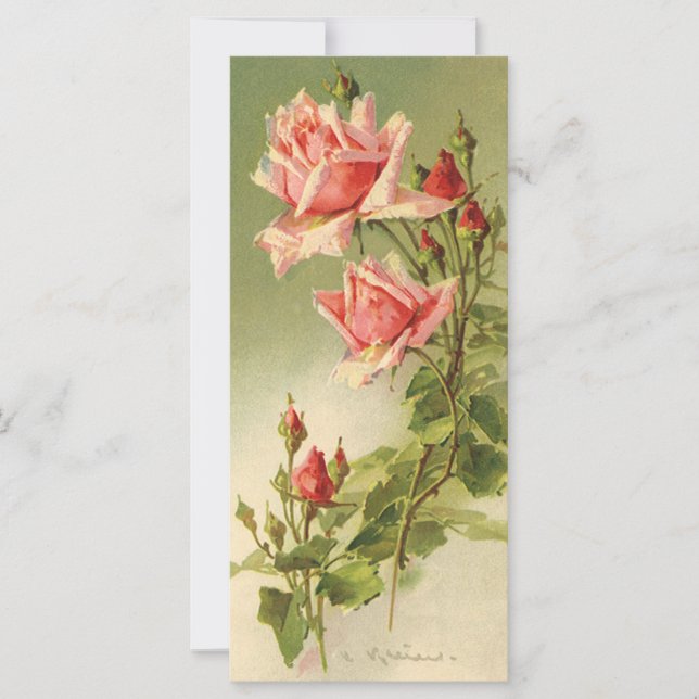 Vintage Valentine's Day Pink Victorian Garden Rose (Front)