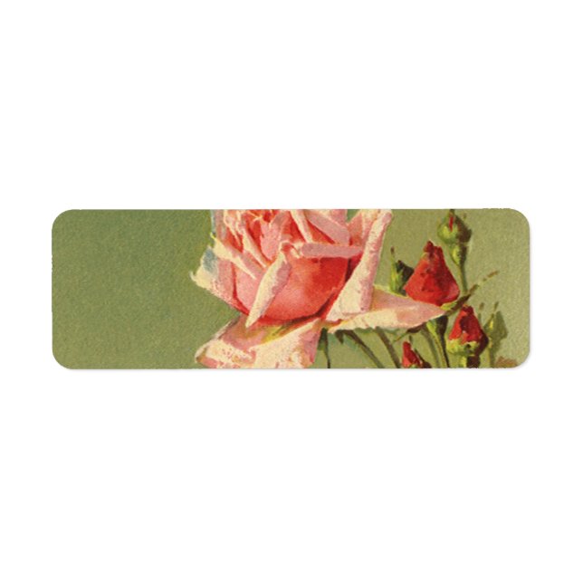 Vintage Valentine's Day Pink Victorian Garden Rose (Front)