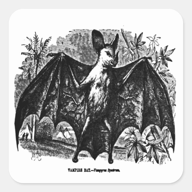 Vintage Vampire Bat Sticker (Front)