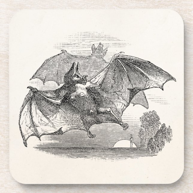 Vintage Vampire Bats Personalized Retro Bats Coaster (Front)
