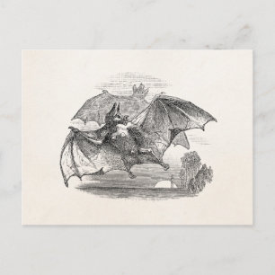 Vintage Vampire Bats Personalized Retro Bats Postcard